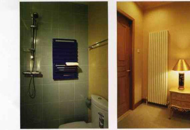 選擇新型暖氣片采暖要根據(jù)房間的用途來選