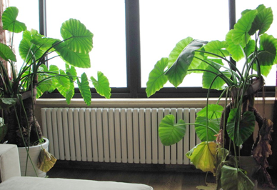 暖氣片的質(zhì)量要引起我們消費者的注意